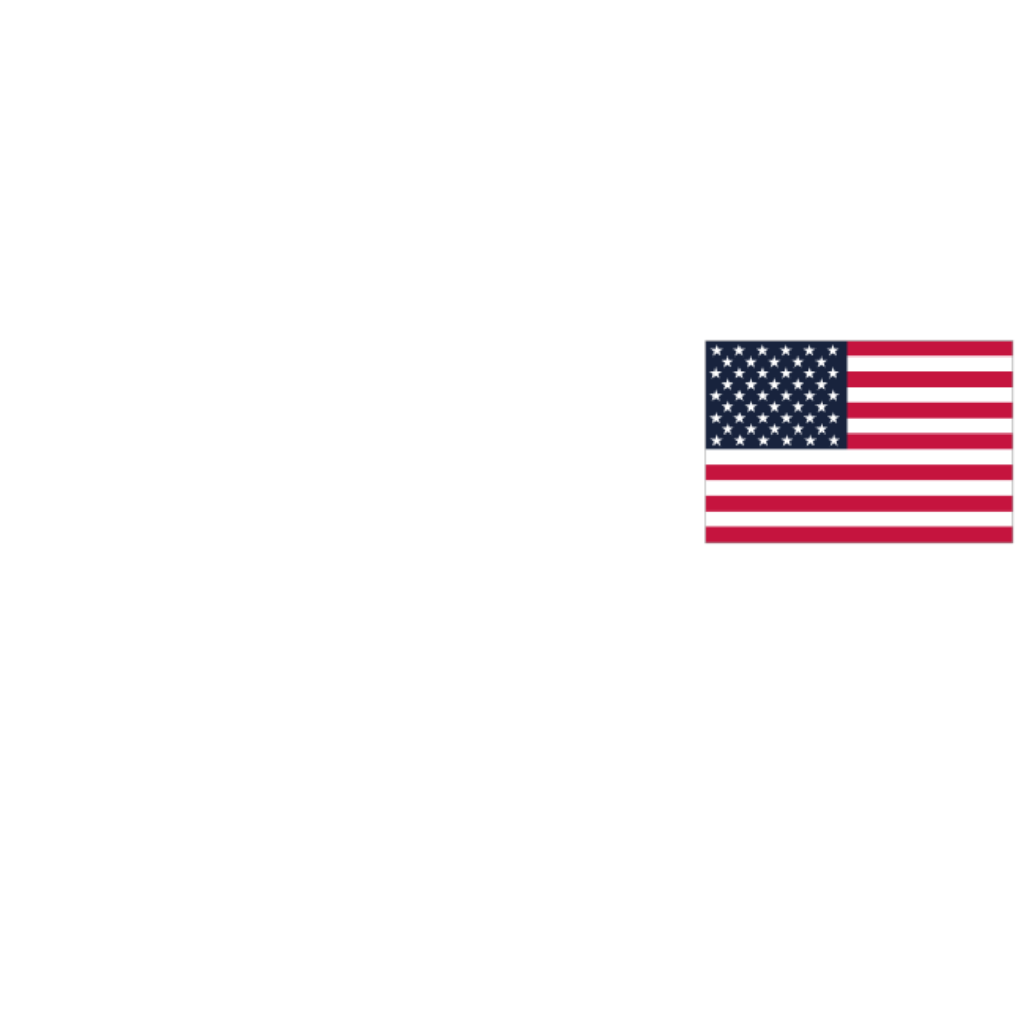 USA SailGP Team logo